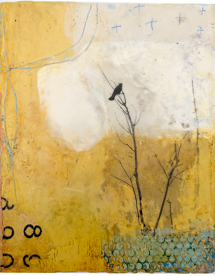 Signs From the Universe