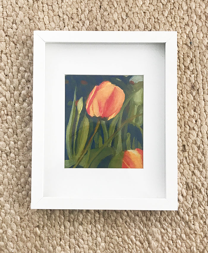 Peachy Tulip