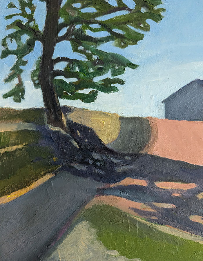 A Tall Tree Casts A Long Shadow
